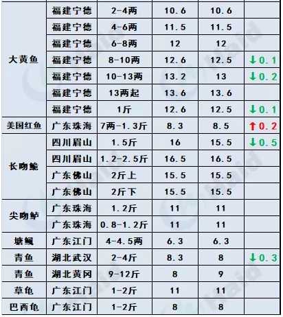 鱼价行情 | 加州鲈上涨，大鱼更受欢迎！临近年关价格还能涨多少？