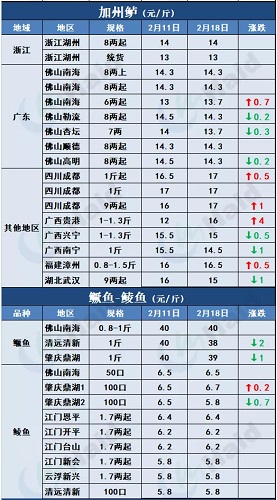 鱼价行情 | 最高13元/斤！存塘减少，t鱼价格继续上涨，后市还要涨？