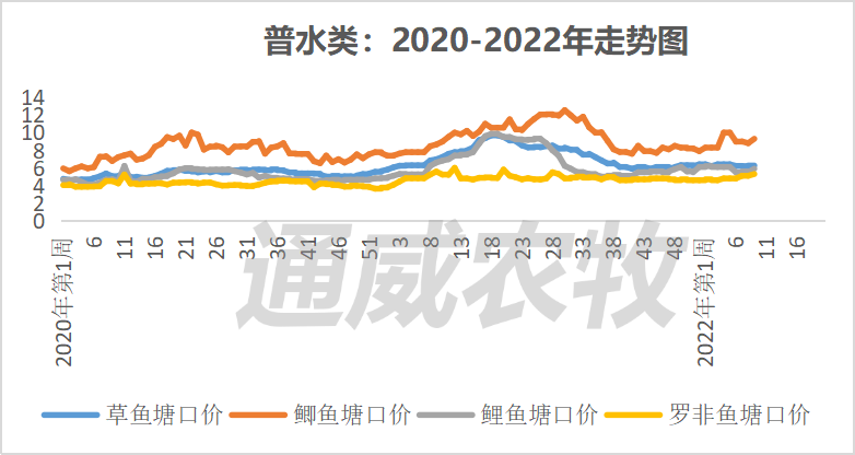 清塘放苗火热进行，这些鱼种价格持续上涨！对虾最高上涨8元/斤？