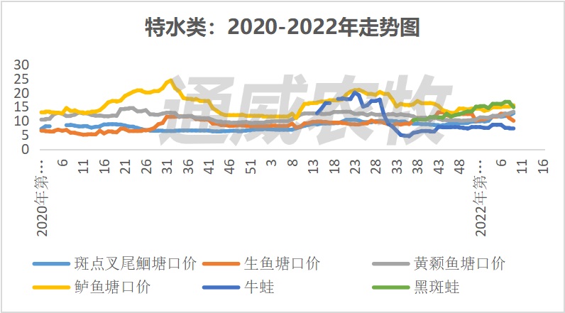 清塘放苗火热进行，这些鱼种价格持续上涨！对虾最高上涨8元/斤？