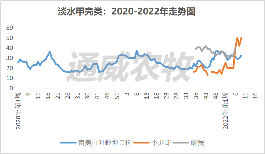 清塘放苗火热进行，这些鱼种价格持续上涨！对虾最高上涨8元/斤？