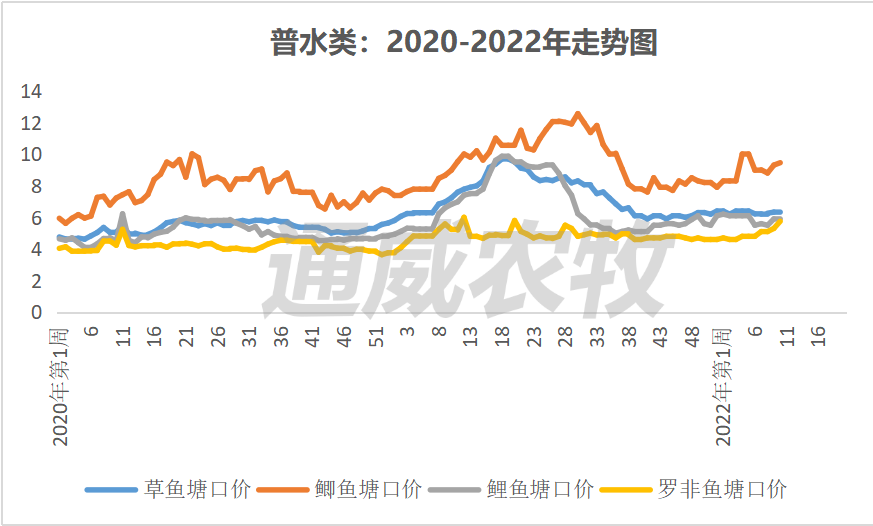 持续涨！罗非鱼存塘告急，广东价格再涨0.3元/斤｜一周鱼价行情播报