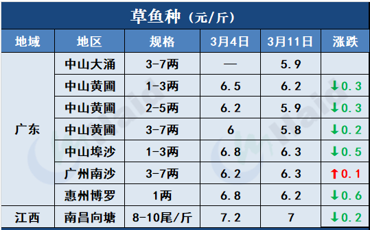 鱼价行情 | 加工厂抢鱼！罗非价格全线上涨，其他鱼怎么样呢？