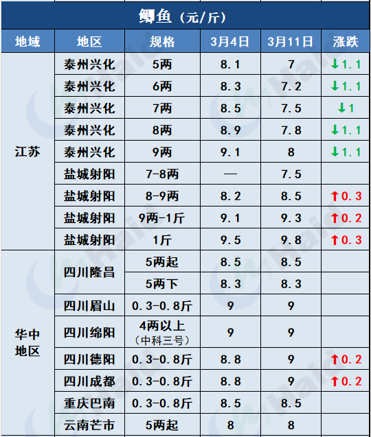 鱼价行情 | 加工厂抢鱼！罗非价格全线上涨，其他鱼怎么样呢？