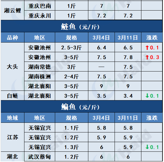 鱼价行情 | 加工厂抢鱼！罗非价格全线上涨，其他鱼怎么样呢？