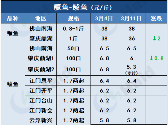 鱼价行情 | 加工厂抢鱼！罗非价格全线上涨，其他鱼怎么样呢？