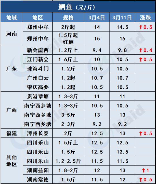 鱼价行情 | 加工厂抢鱼！罗非价格全线上涨，其他鱼怎么样呢？