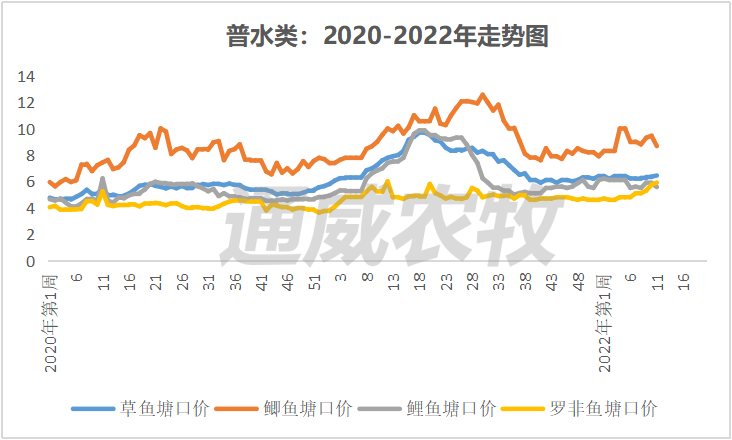 这些鱼突破疫情重围，价格逆势上涨，河南叉尾价格上涨1元/斤。｜一周鱼价行情播报