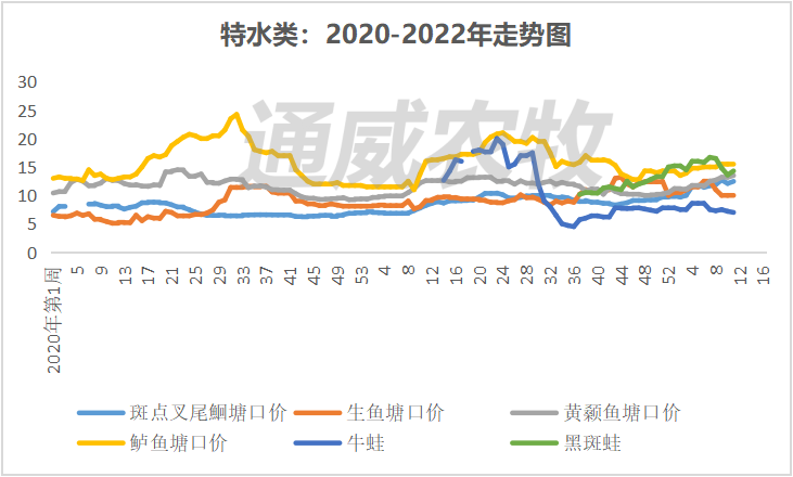 这些鱼突破疫情重围，价格逆势上涨，河南叉尾价格上涨1元/斤。｜一周鱼价行情播报