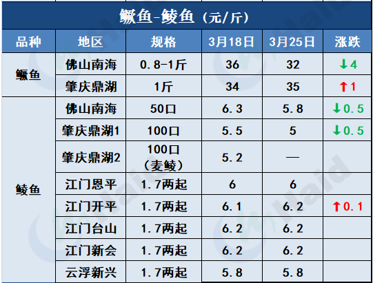 鱼价行情 | 疫情+天气影响，全国各地鱼价情况如何？