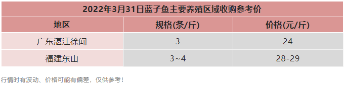 存鱼不到一成，卖出29元/斤的高价，还有今年的投苗也吃紧！