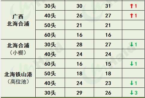 虾价行情 | 存塘虾减少，养户惜售！虾价怎么走？4月21日全国最新塘头价