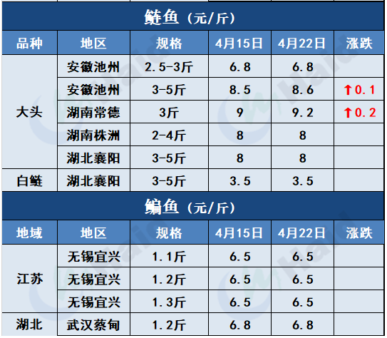 鱼价行情 | 生鱼止跌转涨！其他品种鱼价格是趋稳还是上涨？