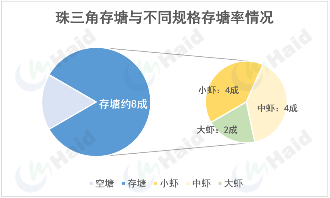 虾价观察 | 五一将至！市场上还有多少大虾？