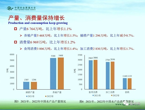 未来十年，水产品市场变局如何？《中国水产品展望报告（2022-2031）》发布