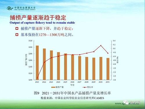 未来十年，水产品市场变局如何？《中国水产品展望报告（2022-2031）》发布