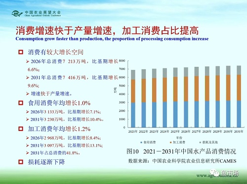 未来十年，水产品市场变局如何？《中国水产品展望报告（2022-2031）》发布