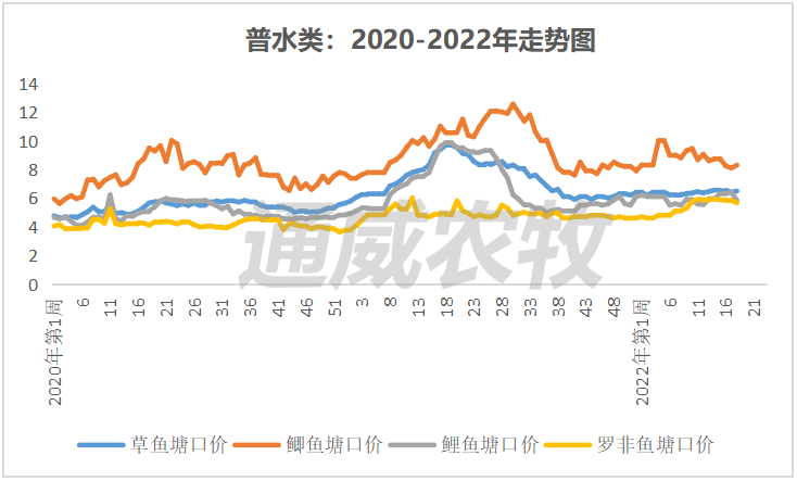 节后消费疲软，江苏对虾市场供应量增加，价格最高下跌6元/斤｜一周鱼价行情播报