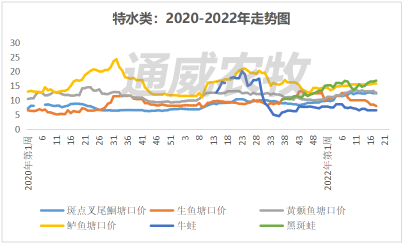 节后消费疲软，江苏对虾市场供应量增加，价格最高下跌6元/斤｜一周鱼价行情播报