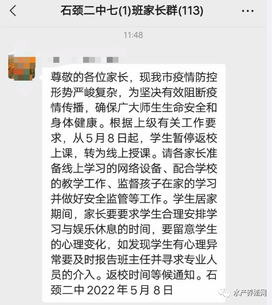 湛江突发疫情，紧急排查！又进口虾惹的祸，后市国产对虾能否涨价?