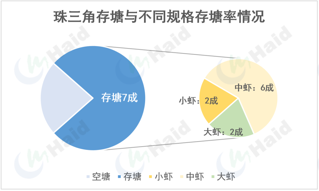 虾价观察 | 保护好虾！当前珠三角发病率接近4成！