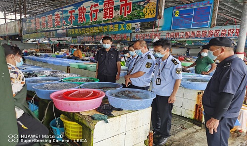 涠洲岛旅游区市场监管局加强休渔期水产品整治