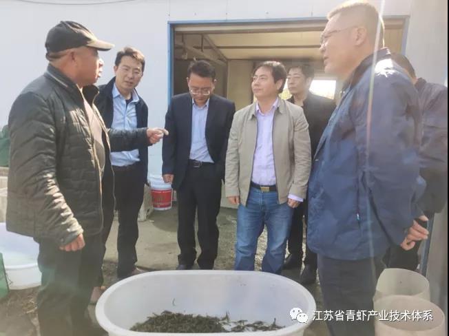 江苏省青虾体系泰州基地举办青虾健康养殖技术培训与现场指导