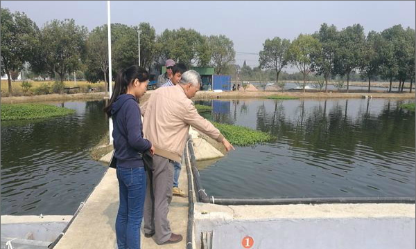 浙江湖州市农业局水产专家调研指导长兴池塘内循环“跑道式”流水养殖