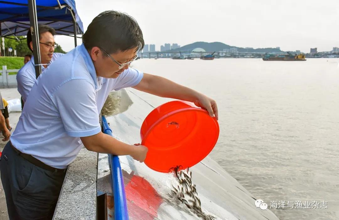 增殖放流 护生态 惠民生―― 400万尾苗种游入珠江