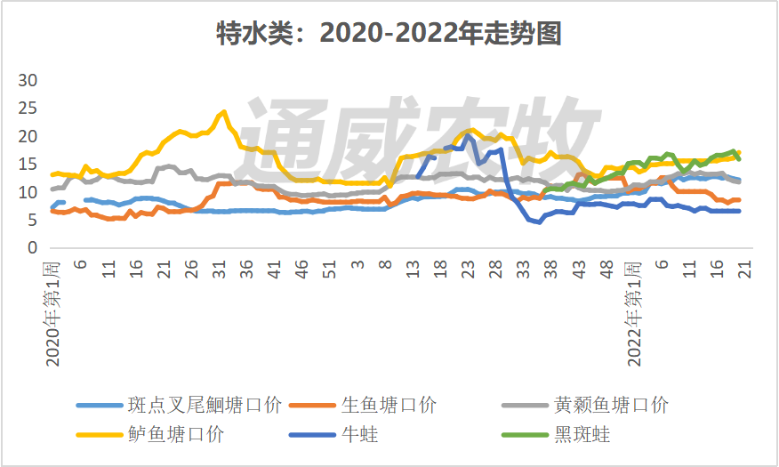 持续下跌！阴雨天致多条鱼病死率升高，养户集中出售，对虾价格最高下跌2元/斤！