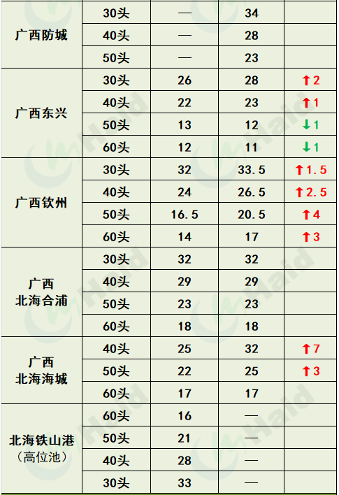 虾价行情 | 如东虾即将上市！虾价会有什么变化？