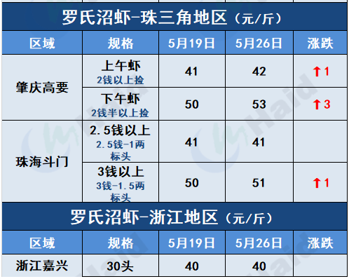 虾价行情 | 如东虾即将上市！虾价会有什么变化？