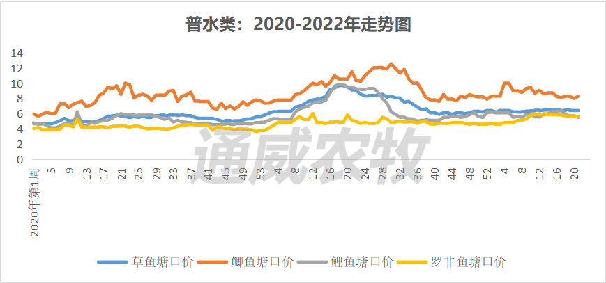 华南对虾病死率达80%，对虾价格最高下跌4元/斤，后市价格将如何走？