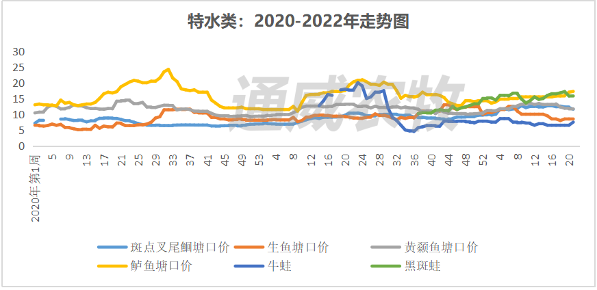 华南对虾病死率达80%，对虾价格最高下跌4元/斤，后市价格将如何走？