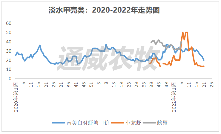 华南对虾病死率达80%，对虾价格最高下跌4元/斤，后市价格将如何走？