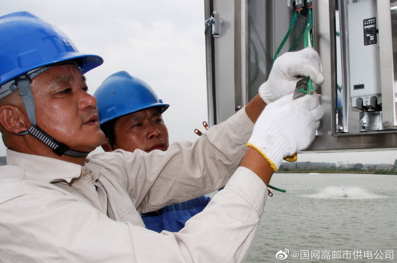 江苏扬州高邮：“电力快车”助水产养殖户增效节支