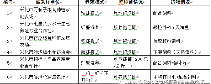 江苏泰州兴化地区不同养殖模式小龙虾品质对比研究报告