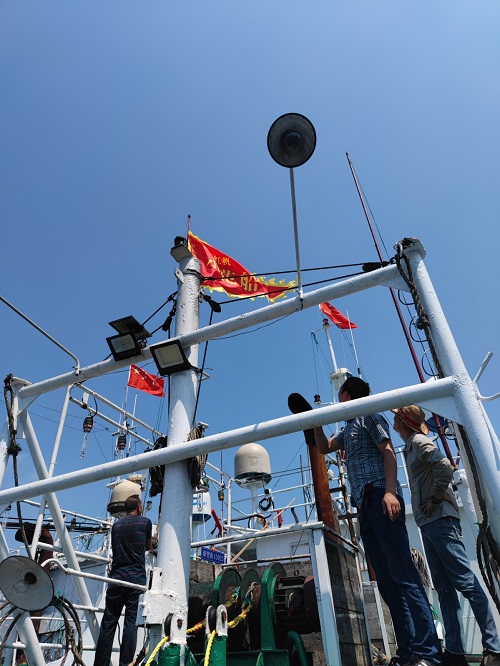 朱家尖“瀛洲红帆船”绘就海上好“枫景”