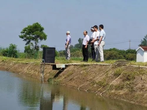 极端高温灾害天气，黄颡鱼塘口管理要注意哪些？