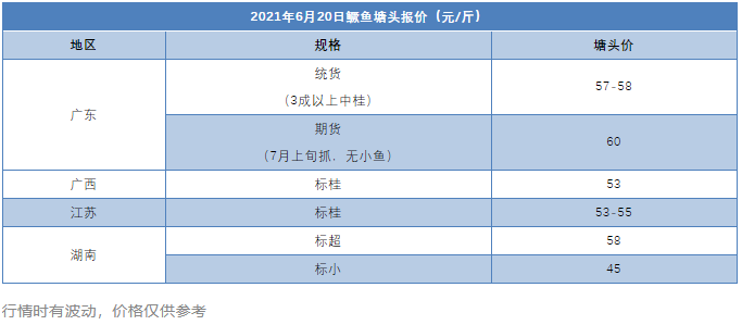 涨破60元/斤！鳜鱼变“贵”鱼，还会刷新历史最高价？