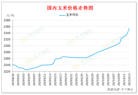 国内外玉米涨势齐头并进，10月份能否延续此格局？