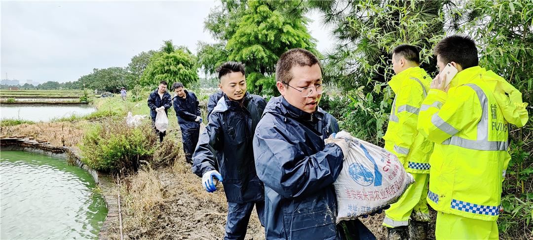 浙江省嘉兴市嘉善县：筑围抢险 决战到底不沦陷 60多万只甲鱼保住了