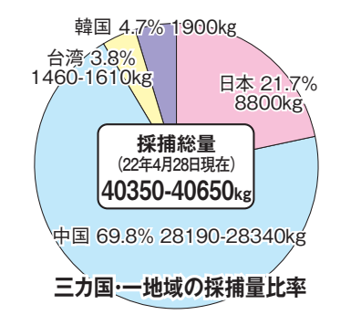 2022鳗苗捕捞季结束，东亚地区累计捕获鳗苗41吨左右