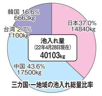 2022鳗苗捕捞季结束，东亚地区累计捕获鳗苗41吨左右