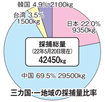 2022鳗苗捕捞季结束，东亚地区最终苗获超42吨