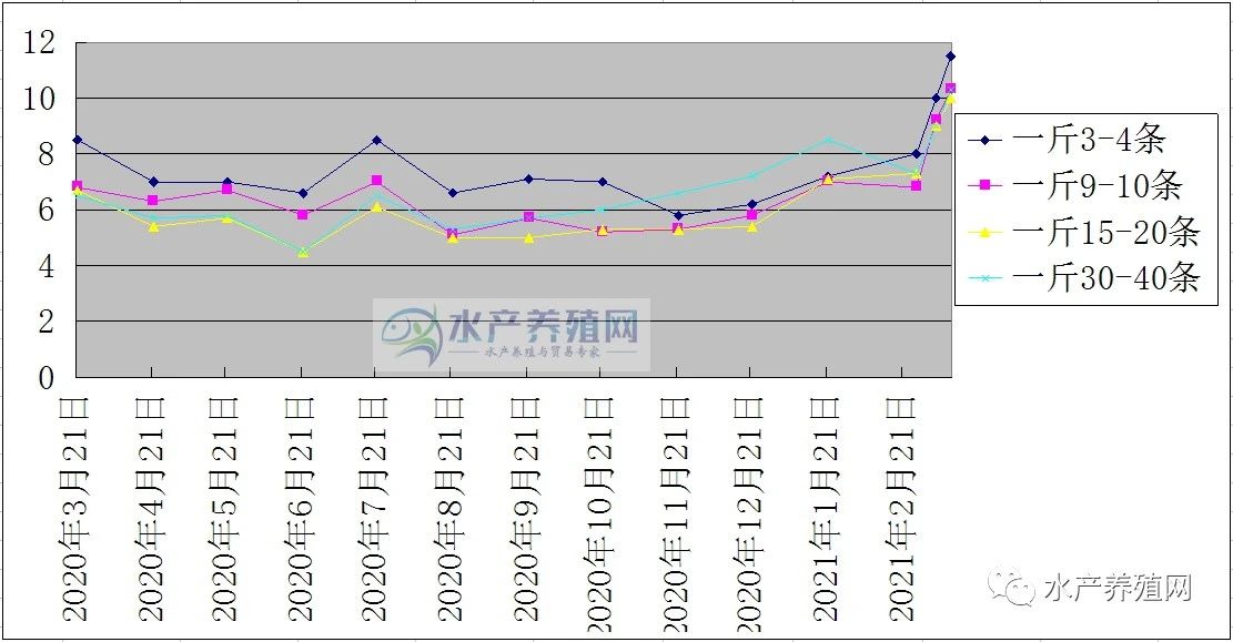 去年泥鳅最低不到4块，现在暴涨到11块多！全国大范围缺货，后面还要涨？