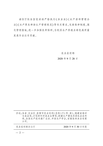 目标10个亿！“皖鲈1号”销售火爆！新品种抗病力强、长速快、条形好