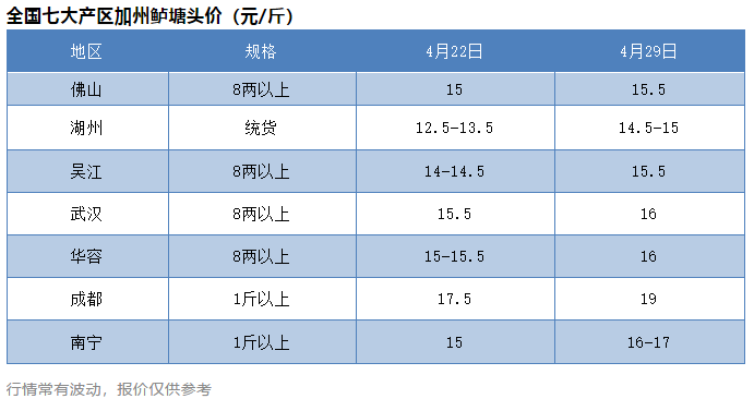 冲上19元/斤！加州鲈一周涨2元/斤，流通商收鱼量翻倍