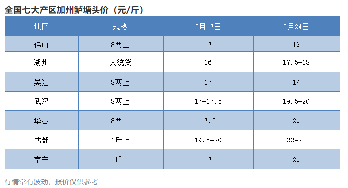 最高23元/斤，这条鱼再迎火爆行情，全线涨2-3元/斤！多地流通商奔赴这里抢鱼