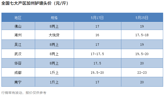 第五大家鱼成抢手货！鱼价飙升，养户加大投料赶高鱼价